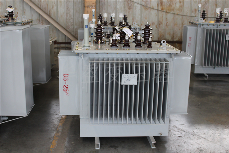 保山S20-800kVA/10kV/0.4kV变压器